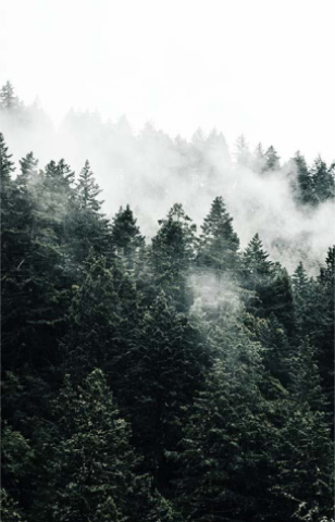 Nature artwork